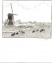 koeien in de polder Kunstwerk koeien in de polder