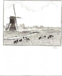 koeien in de polder koeien in de polder