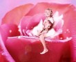 rose fairy's 2 Kunstwerk rose fairy's 2