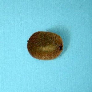 kiwi kiwi