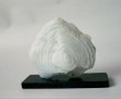 schelp Kunstwerk schelp