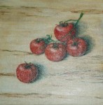 realistisch stilleven: EEN TROSJE TOMATEN realistisch stilleven: EEN TROSJE TOMATEN