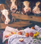 Koeien en appels Koeien en appels
