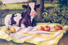 Picknick Picknick