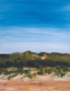 Kennermerduinen 3 Kennermerduinen 3