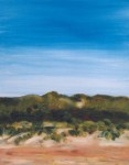 Kennermerduinen 3 Kennermerduinen 3