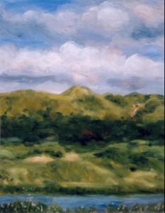 Kennermerduinen 4 Kennermerduinen 4