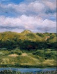 Kennermerduinen 4 Kennermerduinen 4