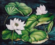 realistisch.bloemstilleven: Lotusbloemen realistisch.bloemstilleven: Lotusbloemen