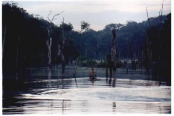 Vida E Morte Pelas Aguas Vida E Morte Pelas Aguas