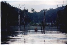 Vida E Morte Pelas Aguas Vida E Morte Pelas Aguas