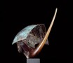 Vreemde vogel 6 Kunstwerk Vreemde vogel 6