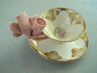 fingercup fingercup