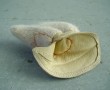 leather-medima handobject Kunstwerk leather-medima handobject