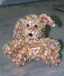 Aaien (punaisehondje) Aaien (punaisehondje)
