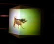 Hond Kunstwerk Hond