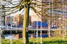 TALKING TREE TALKING TREE