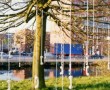 TALKING TREE Kunstwerk TALKING TREE