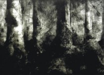 bos III bos III