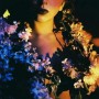 Lips of flowers Kunstwerk Lips of flowers