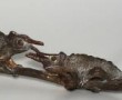 3 hoornkameleon Kunstwerk 3 hoornkameleon