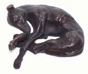 Moesjar (slapende Galgo) Moesjar (slapende Galgo)