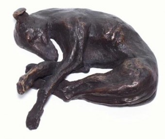 Moesjar (slapende Galgo) Moesjar (slapende Galgo)