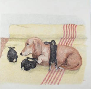 De babyzitter De babyzitter