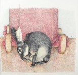 De wasbeurt De wasbeurt