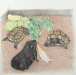 De witlofroof De witlofroof