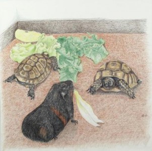 De witlofroof De witlofroof