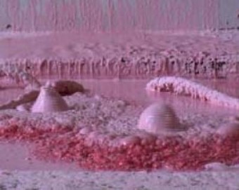 Blob Blob