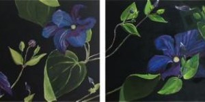 Clematis 2-luik Clematis 2-luik