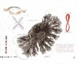 polychromosome Kunstwerk polychromosome