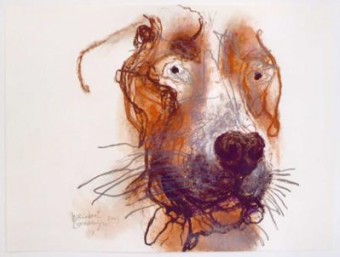 weimaraner weimaraner