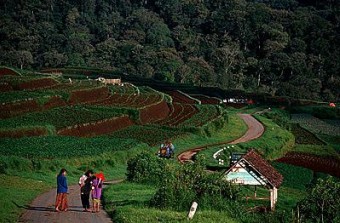 Sumber Brantas, Jawa Timur, Indonesia Sumber Brantas, Jawa Timur, Indonesia