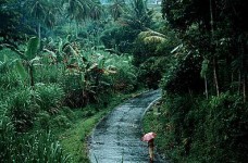 Tumpang. Jawa Timur, Indonesia Tumpang. Jawa Timur, Indonesia