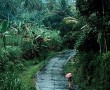 Tumpang. Jawa Timur, Indonesia Kunstwerk Tumpang. Jawa Timur, Indonesia