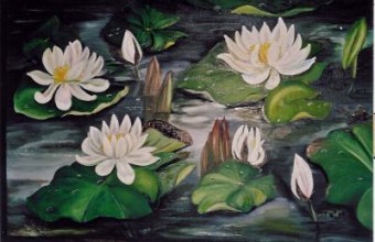WITTE WATERLELIES (2) WITTE WATERLELIES (2)