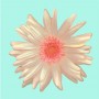 gerbera Kunstwerk gerbera