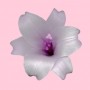 lelie pink Kunstwerk lelie pink