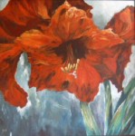 Red Amaryllis Red Amaryllis