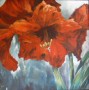 Red Amaryllis Kunstwerk Red Amaryllis