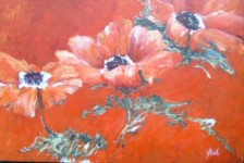 Rode Bloemen Rode Bloemen