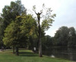 Oosterpark Kunstwerk Oosterpark