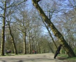Gedachtenwisseling Kunstwerk Gedachtenwisseling