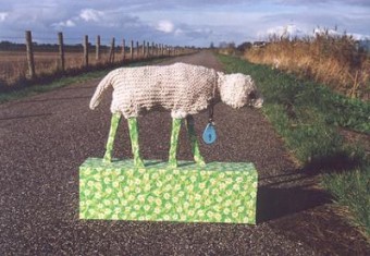 Schaap 9 Schaap 9