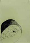 Glance Glance