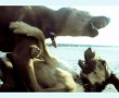 Woof 1 Kunstwerk Woof 1