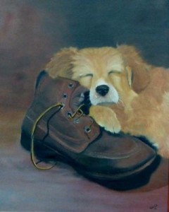 slapende pup met schoen slapende pup met schoen
